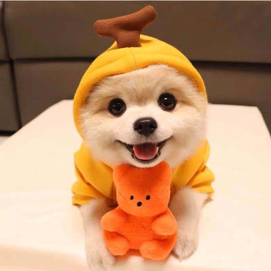 Cat & Dog Cute Clothes